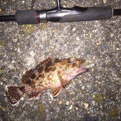 仕事帰り、少し長時間ライト